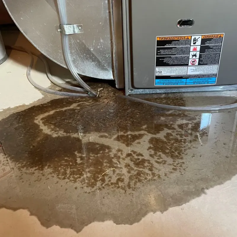 Pipe Burst and Leak Restoration in Carnegie, PA