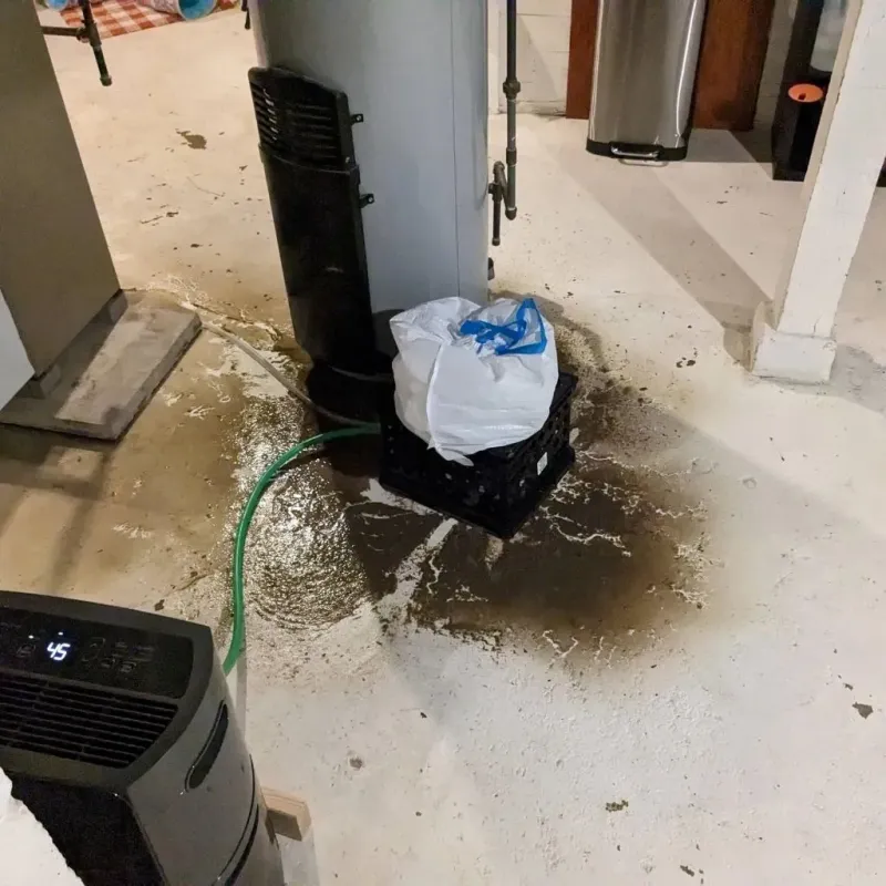Sewage Backup Cleanup Service in Carnegie, PA